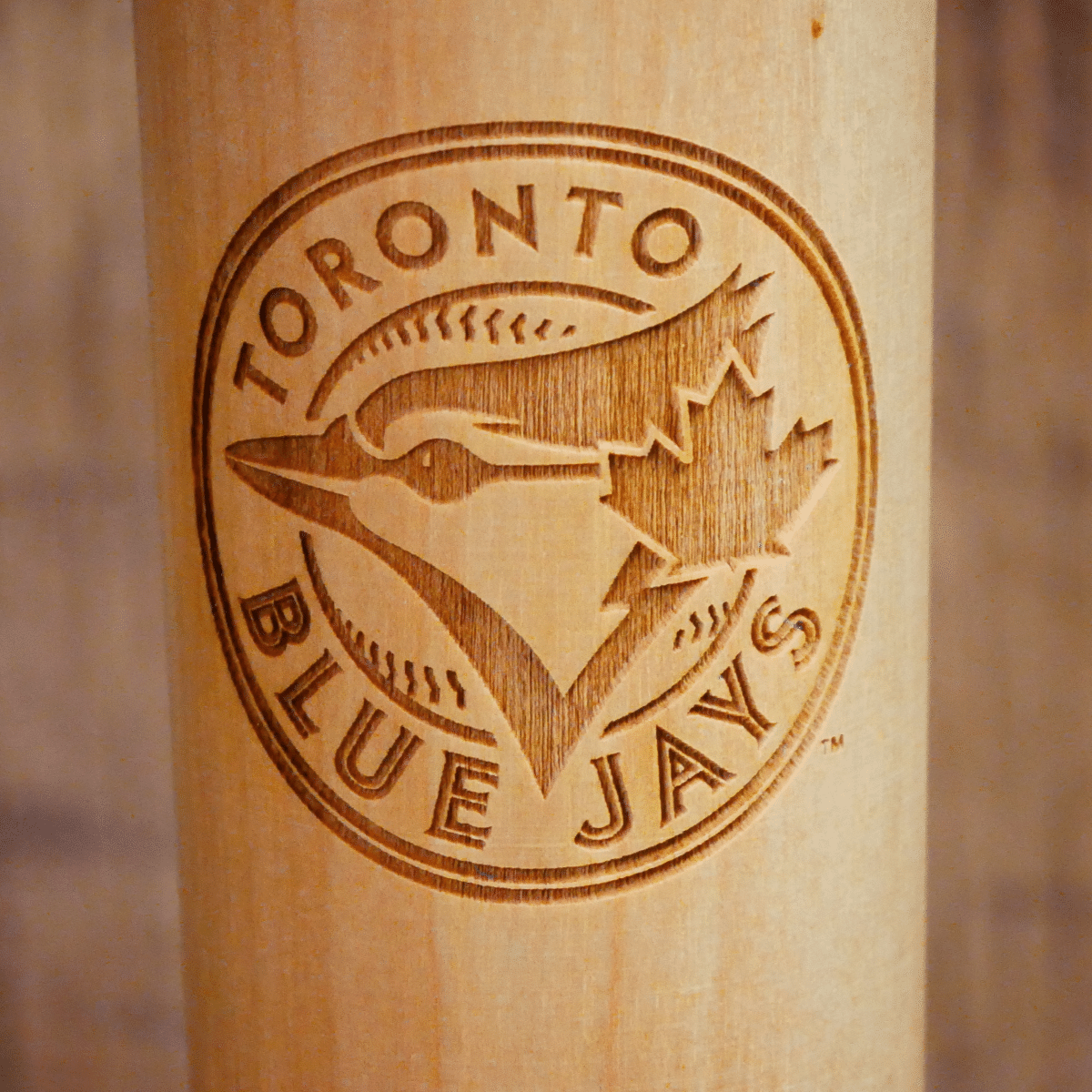 Toronto Blue Jays "Never Before Seen" Dugout Mug®