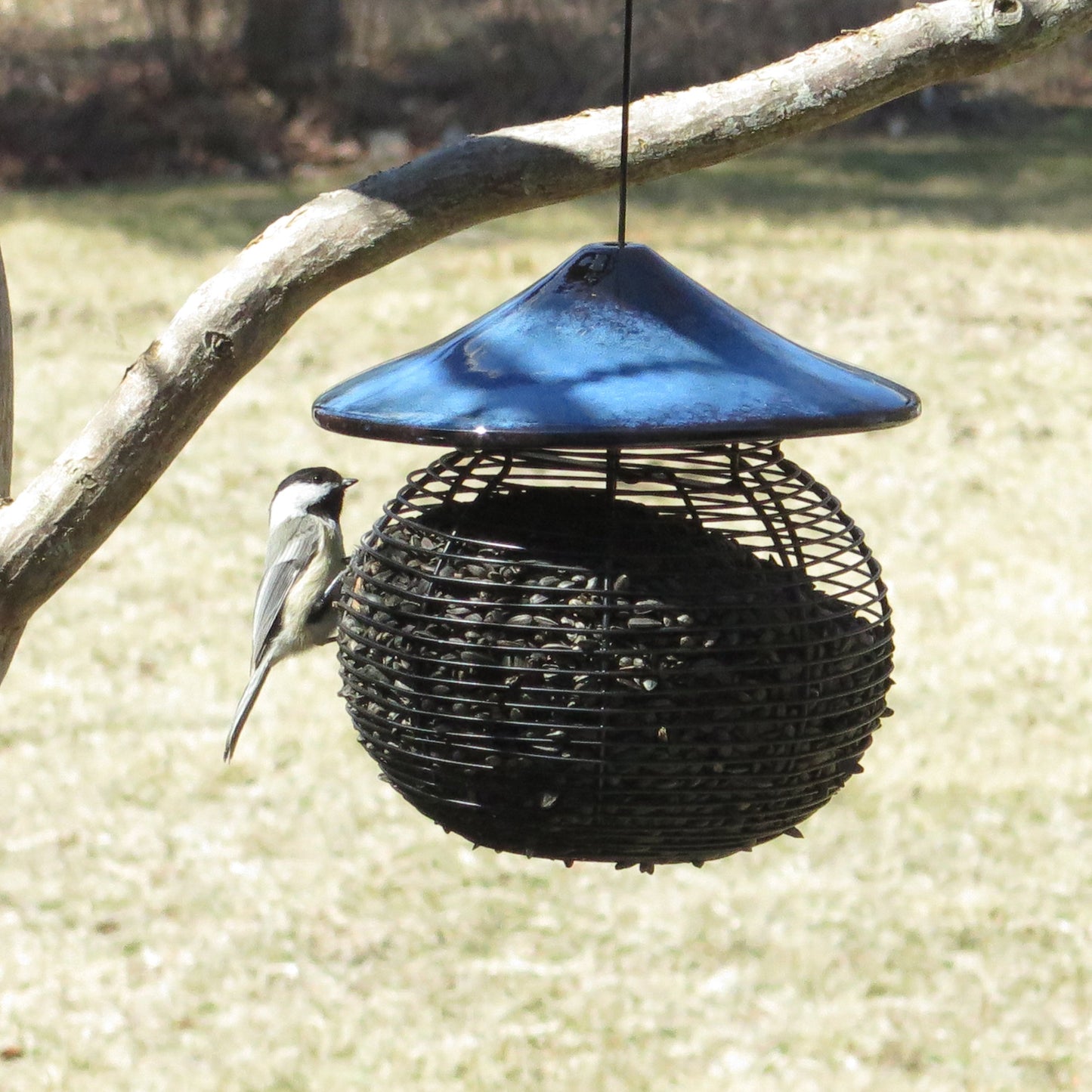 Sphere Bird Feeder