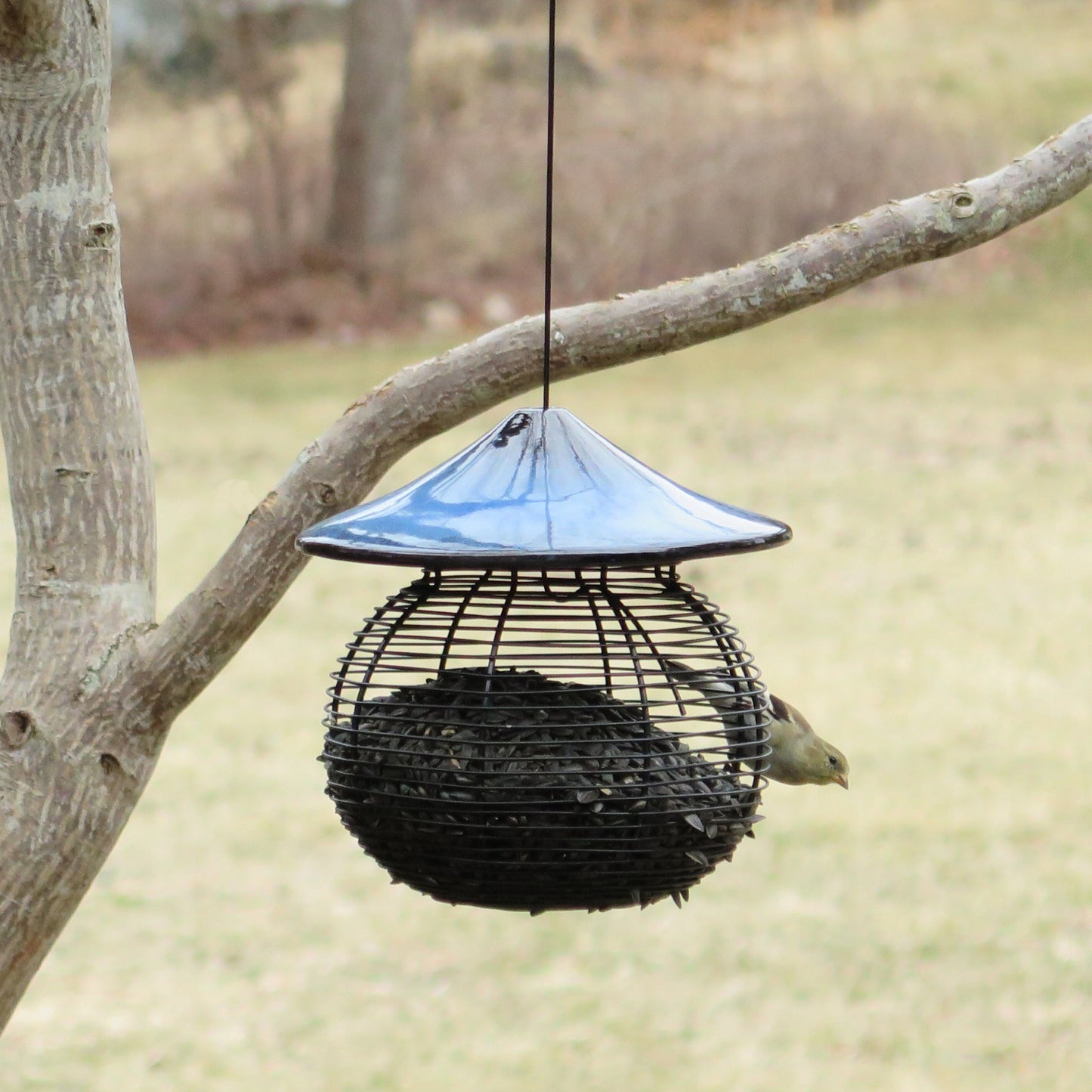 Sphere Bird Feeder