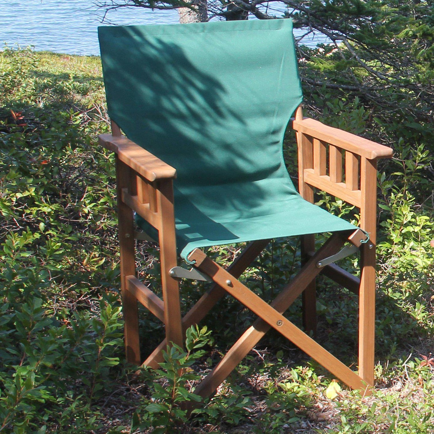 Pangean Campaign Chair